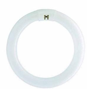 Onaangenaam acre los van Osram 22W ronde TL-buis 2700K 216mm Lumilux Interna (FT10003920) - Rutten  Elektroshop