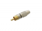 CA049B MANNELIJKE RCA PLUG - VERGULDE STEKKER - ZWART