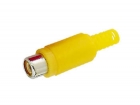 CA054Y VROUWELIJKE RCA PLUG - GEEL