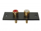 CA070 2P AMP RCA PLUG - VERGULD