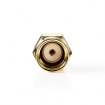 CSGP02111GD SMA-Adapter | SMA Male Omgekeerde Polariteit | SMA Female | Verguld | 50 Ohm | Recht | Koper | Goud | 2 Stuks | Envelop