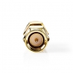 CSGP02941GD SMA-Adapter | SMA Male | SMA Male | Verguld | 50 Ohm | Recht | Koper | Goud | 2 Stuks | Envelop