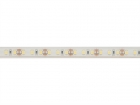 E12W150W65 FLEXIBELE LEDSTRIP - WIT 6500K - 120 LEDs/m - 5 m - 12 V - IP68 - CRI90