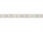 E12W230W40 FLEXIBELE LEDSTRIP - WIT 4000K - 60 LEDs/m - 5 m - 12 V - IP68 - CRI90