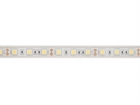 E12W230W65 FLEXIBELE LEDSTRIP - WIT 6500K - 60 LEDs/m - 5 m - 12 V - IP68 - CRI90