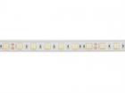 E24W230W65 FLEXIBELE LEDSTRIP - WIT 6500K - 60 LEDs/m - 5 m - 24 V - IP68 - CRI90