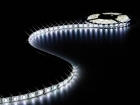 LS24M230CW1 FLEXIBELE LEDSTRIP - KOUD WIT - 300 LEDs - 5 m - 24 V