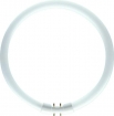 DTP01285 Philips TL5 buis rond Circular 40W 840