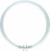 FT10003580 Philips TL5 buis rond Circular 60W 840