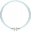 DTP01284 Philips TL5 buis rond Circular 40W 830