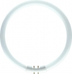 DTP01288 Philips TL5 buis rond Circular 60W 830