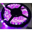 SYLED4374 FLEXIBELE LEDSTRIP - RGB EN KOUDWIT - 300 LEDS - 5 m - 12 V