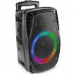 TS170018 FT8LED-MK2 PORTABLE SOUND SYSTEM 8"