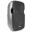 TS170341 AP1000A Hi-End Actieve Speaker 10"