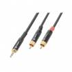 TS177036 Connex	Kabel 3.5 Stereo - 2xRCA Male 3.0m