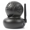 TS351149 IP-Camera met Pan/Tilt SD Record