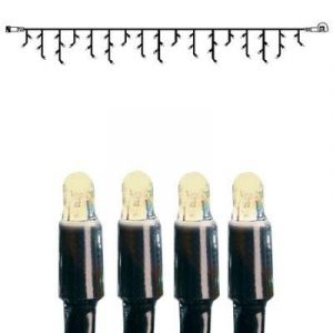 LUCA LED CONNECT24 STRING 49 LED'S