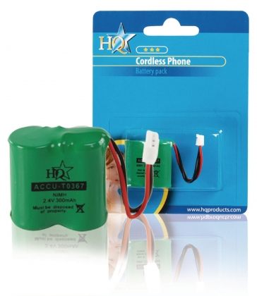 Oplaadbare NiMH Batterij Pack 2.4 V 300 mAh 1-Blister