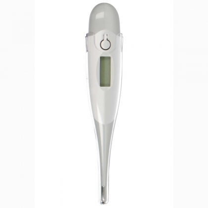 Digitale thermometer Grijs