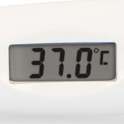 Digitale thermometer Grijs