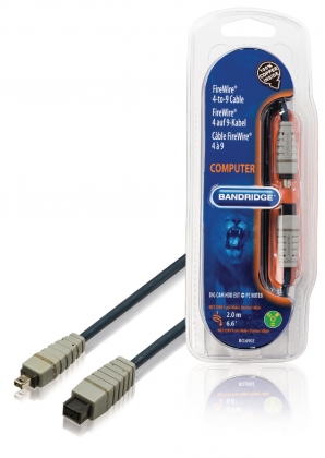 FireWire 400 Kabel FireWire 4-Pins Male - FireWire 9-Pins Male 2.00 m Blauw