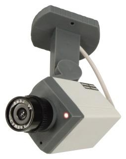 DUMMY CAMERA MOTION DETECTION