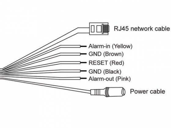 IP-CAMERA - GEBRUIK BUITENSHUIS - CILINDRISCH - IR - EAGLE EYES - PUSH VIDEO - 1.3 MP