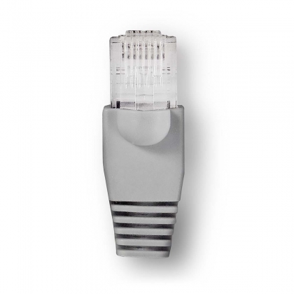 RJ45-Connector | Male | Solid UTP CAT5 | Recht | Verguld | 10 Stuks | PVC | Grijs | Window Box met Euro Lock