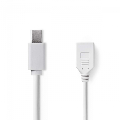 Mini DisplayPort-Kabel | DisplayPort 1.2 | Mini-DisplayPort Male | DisplayPort Female | 21.6 Gbps | Vernikkeld | 0.20 m | Rond | PVC | Wit | Polybag