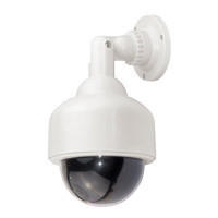 Dummy Camera "Speed Dome" met LED