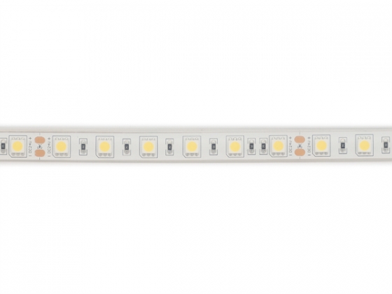 FLEXIBELE LEDSTRIP - WIT 6500K - 60 LEDs/m - 5 m - 24 V - IP68 - CRI90