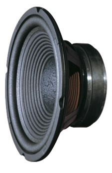 BASLUIDSPREKER 10 INCH 100W 8 OHM