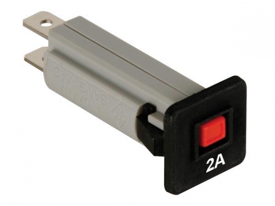 AUTOMATISCHE ZEKERING - 2A - 250VAC