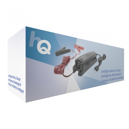 Loodzuur Accu Lader 3.8 A Universeel