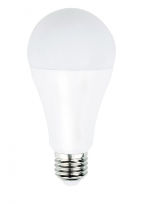 LED-Lamp E27 Dimbaar A60 9.2 W 1055 lm 2700 K