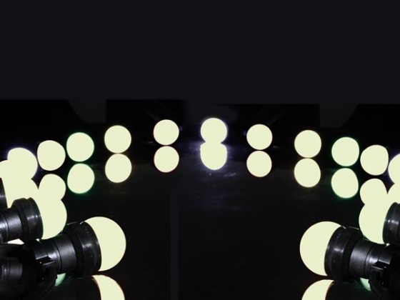 LED-FEESTSLINGER met 20 WARMWITTE LED-LAMPEN