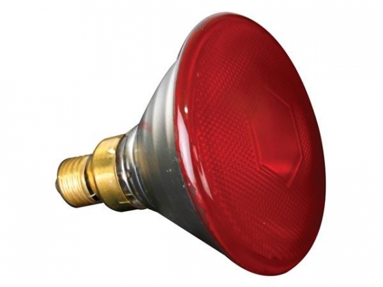 SYLVANIA HALOGEENLAMP 80 W / 240 V, PAR38, E27, FL 30°, ROOD