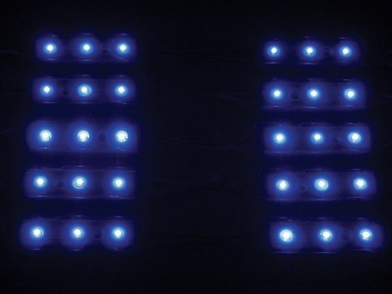 DECORATIEVE LEDMODULES - BLAUW - 12V