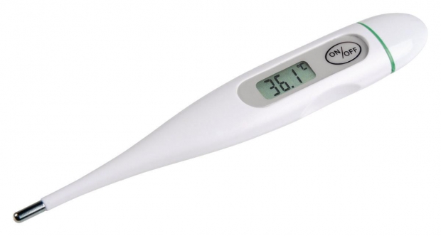 Digitale Thermometer Wit