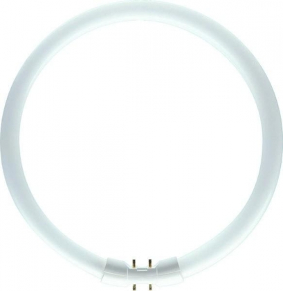 Philips TL5 buis rond Circular 22W 830