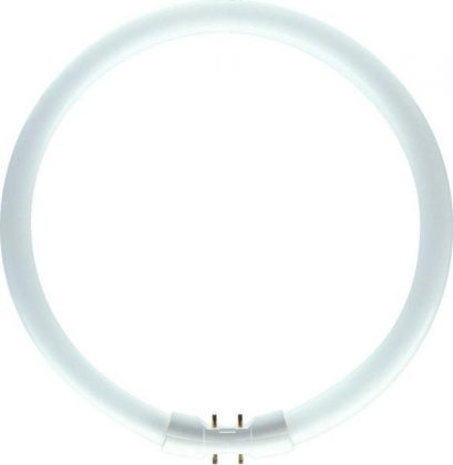 Philips TL5 buis rond Circular 22W 840