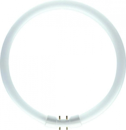 Philips TL5 buis rond Circular 40W 830