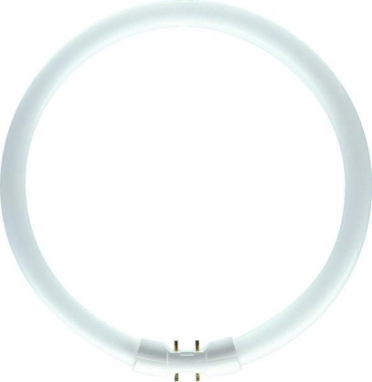 Philips TL5 buis rond Circular 60W 830
