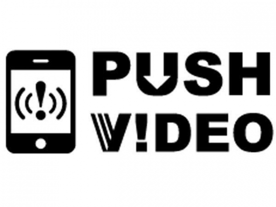 IP-CAMERA - GEBRUIK BUITENSHUIS - CILINDRISCH - IR - EAGLE EYES - PUSH VIDEO - 1.3 MP