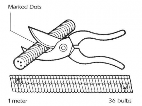 LED-LICHTSLANG - KOUDWIT - 45m