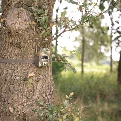 Wildcamera 8 MPixel