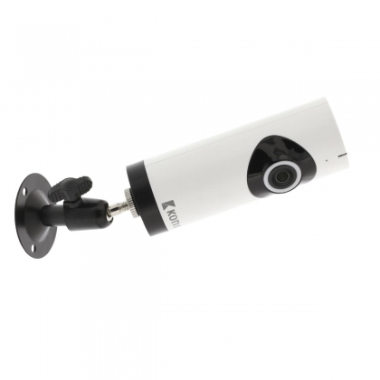 HD IP-Camera 1280x720 Panorama Wit/Zwart