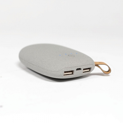 Draagbare Powerbank Lithium-Ion 7800 mAh USB Grijs