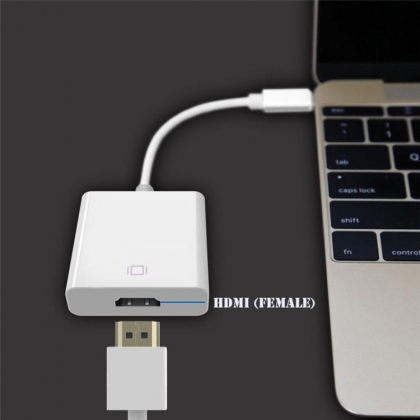 Adapter USB 3.1 C Male - HDMI Female Wit