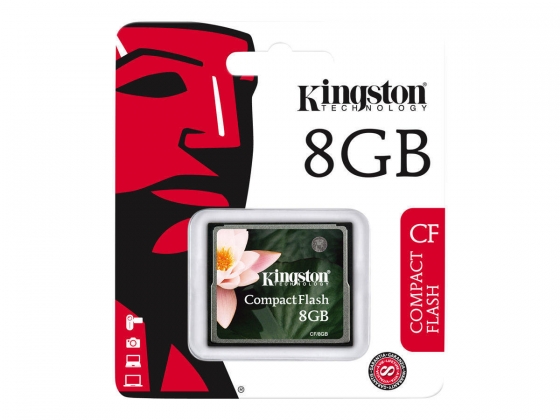 8GB CompactFlash Card